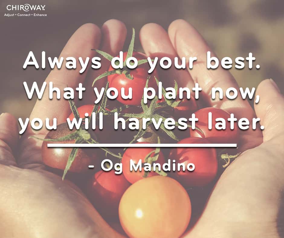 Always do your best. What you plant now, you will harvest later - Og Mandino