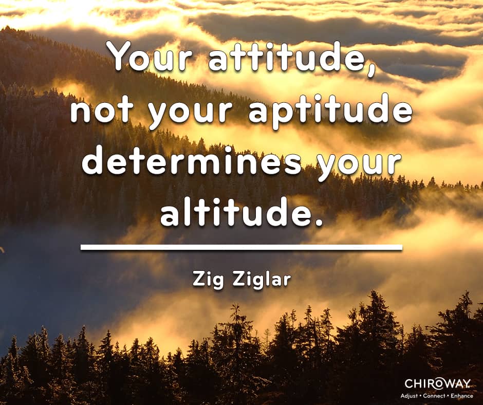 Your attitude, not your aptitude determines your altitude.