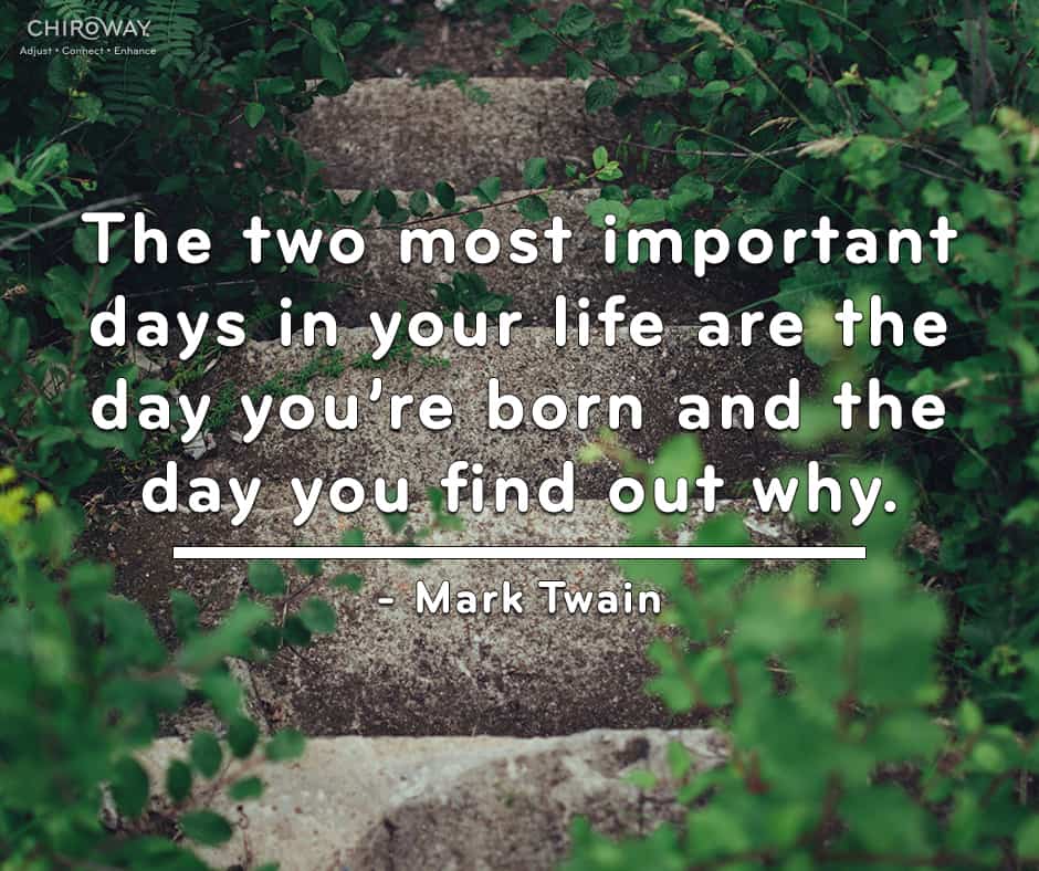 The two most important days in your life are the day you're born and the day you find out why - Mark Twain