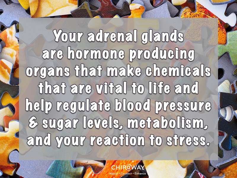 Your adrenal glands are hormone producing organs that make chemicals that are vital to life and help regulate blood pressure and sugar levels, metabolism, and your reaction to stress