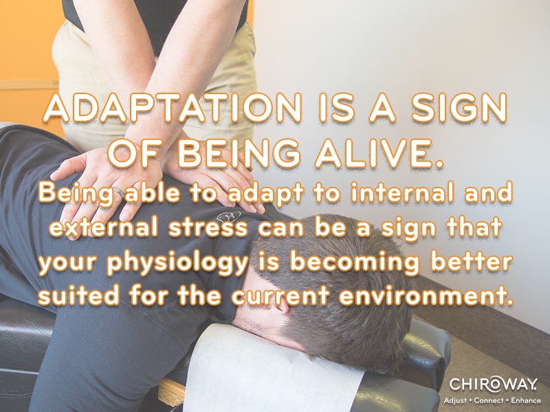 adaptation is a sign of being alive