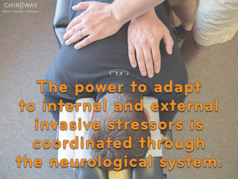 The power to adapt to internal and external invasive stressors is coordinated through the neurological system.
