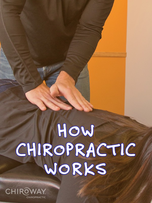 How Chiropractic Works, image of chiropractor palpating the spine