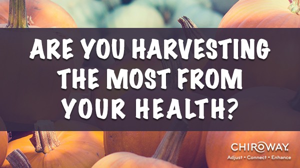 Are you harvesting the most from your health?