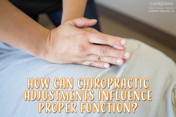 How can chiropractic adjustments influence proper function?