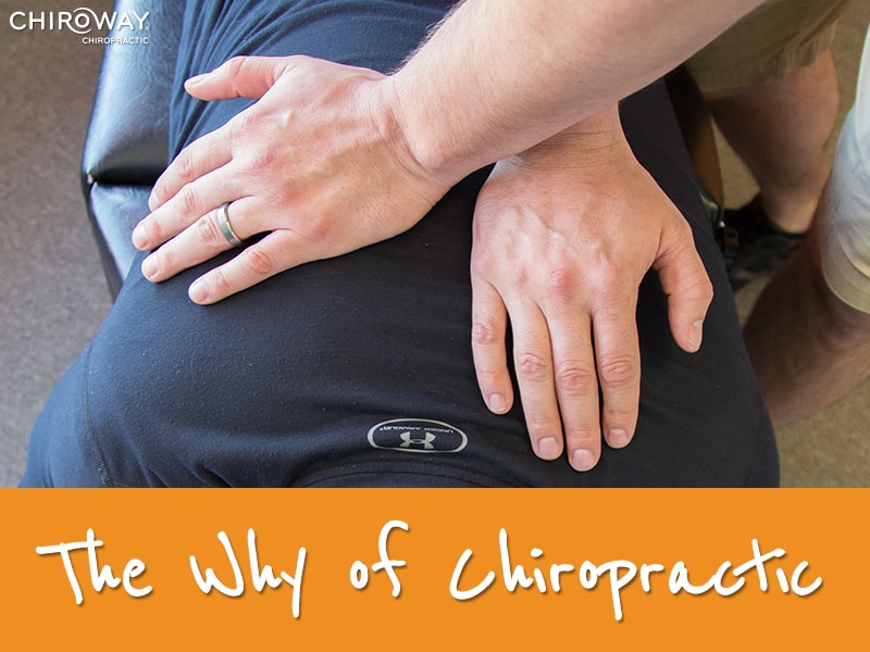 The Why of Chiropractic