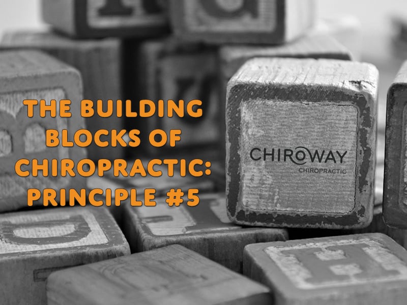 Building Blocks of Chiropractic - Principle 5