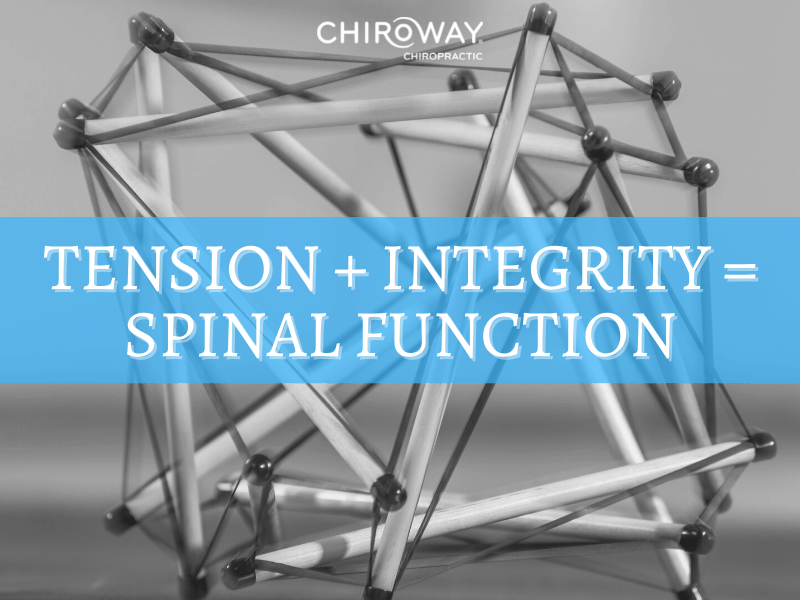 Tension + Integrity = Spinal Function
